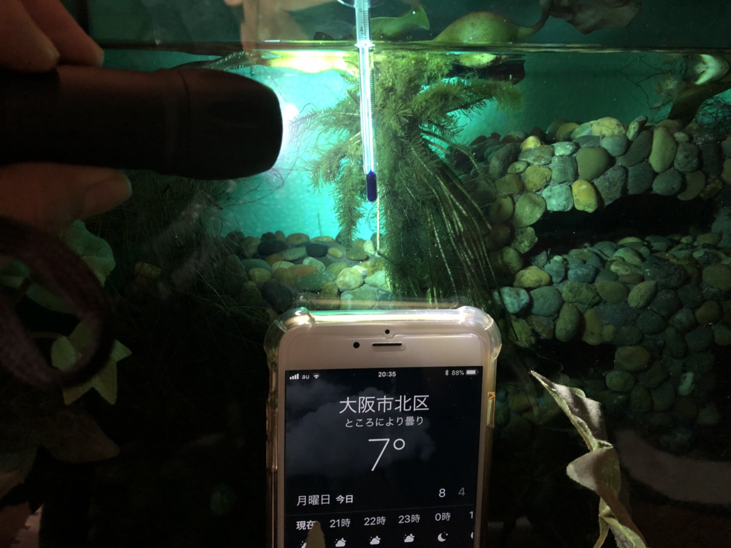 屋外水槽 冬場の水温対策 管理 について まろパパのhow About This