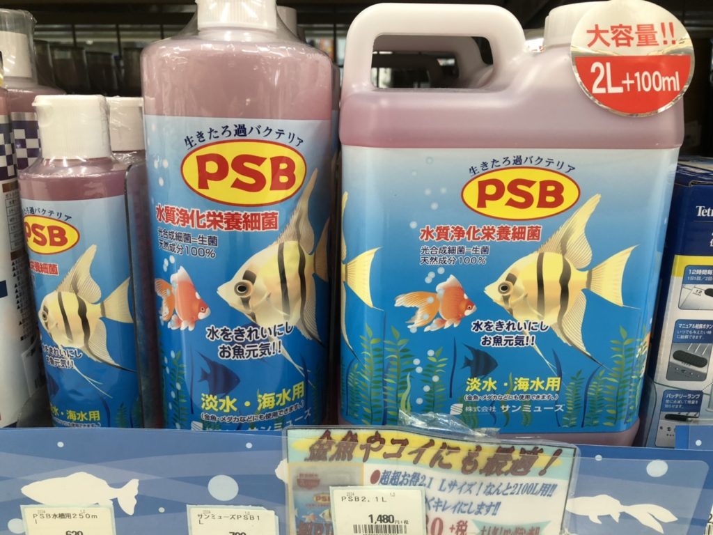 生物ろ過 ザリガニ飼育にバクテリアは必要 Psb まろパパのhow About This