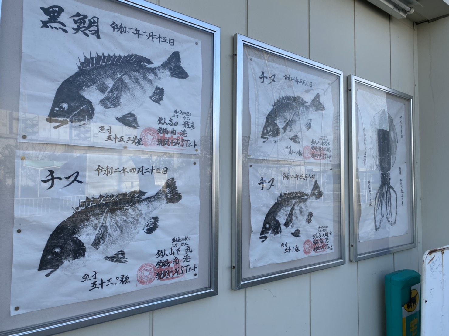 住之江区 へぇ 南港でクロダイ チヌ ですか いか焼き まろパパのhow About This